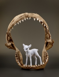 « Tu es une merveille », exposition des œuvres de Magali Lambert à la Voz&rsquo;Galerie
