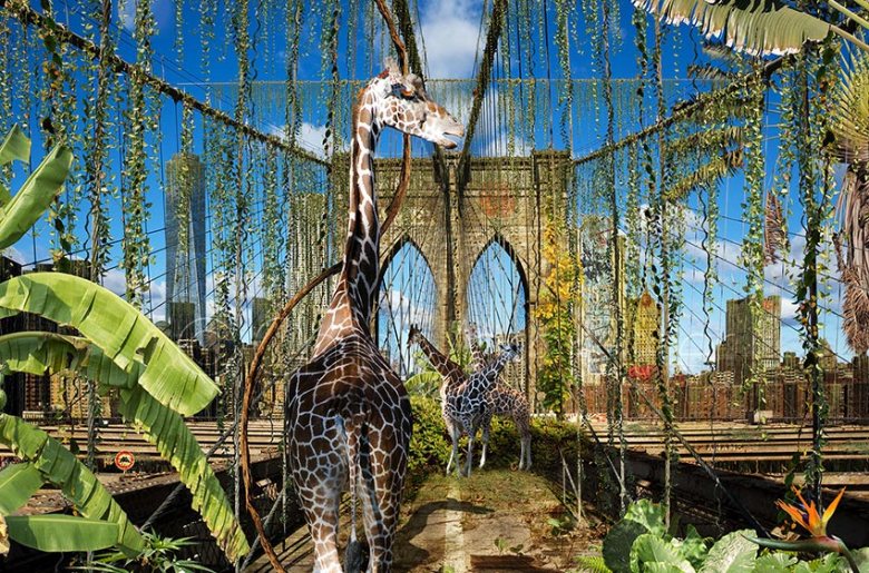 NewYorkBrooklynBridgeLianes-chrismorin2010BD