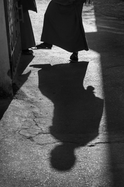 Tobi-Wilkinson_Gyuto-Not Your Real Self_Courtesy-Galerie-Thierry-Bigaignon.jpeg