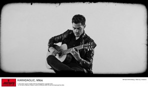 4812310 blackbird_06a