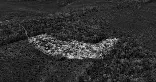 « Amazônia »,  exposition photographique de Tommaso Protti dans le cadre du prix Carmignac du photojournalisme