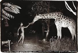 Peter Beard, œuvres graphiques et&nbsp;photographiques