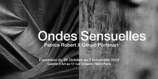 &laquo;&nbsp;Ondes sensuelles&nbsp;&raquo;, exposition photographique-picturale, de Gérald Portenart et Patrice&nbsp;Robert